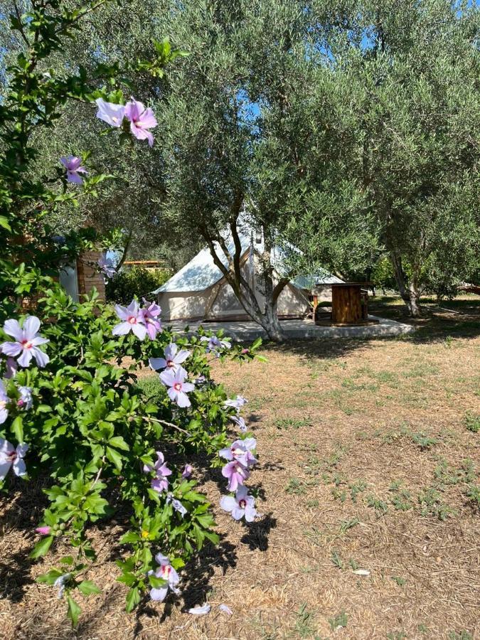 Eco Glamping With Pool Between Nafplio And Argos Exterior foto