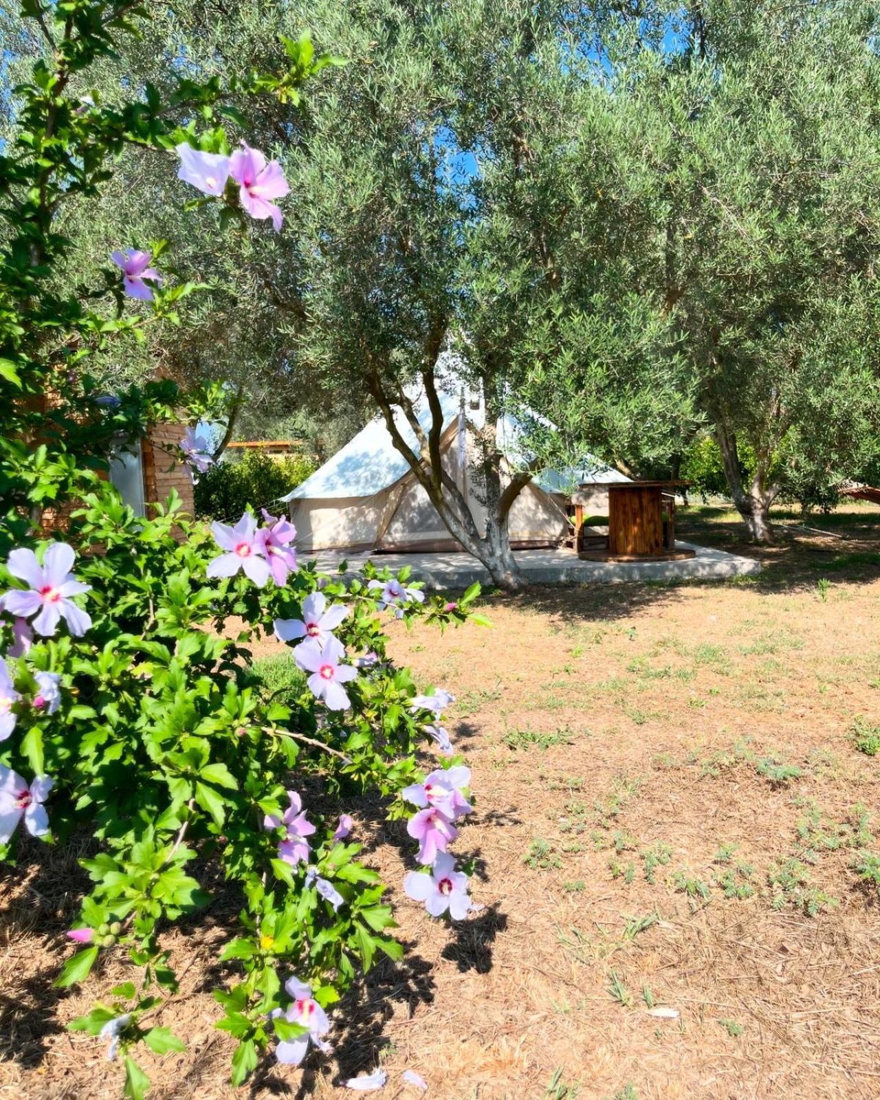 Eco Glamping With Pool Between Nafplio And Argos Exterior foto
